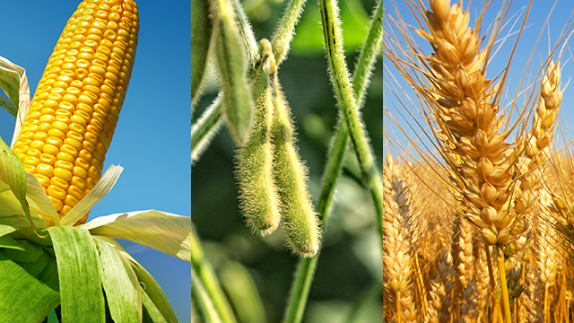 AgOptimus on Commitment of Traders Report – 6.2.23