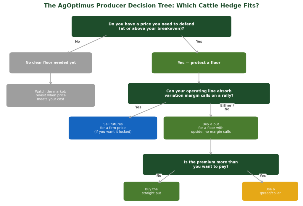 AgOptimus producer decision tree flowchart for choosing between selling futures, buying a put, or using a spread to hedge cattle