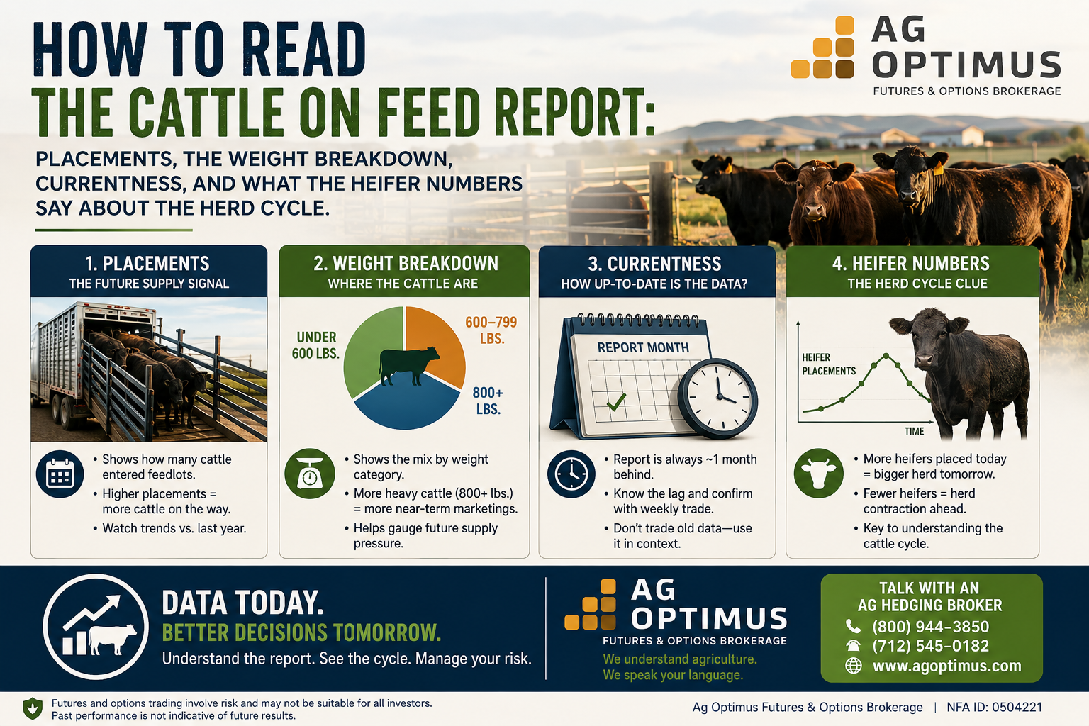 Cattle on Feed report guide explaining placements, cattle weight breakdowns, report timing, and what heifer numbers indicate about the cattle herd cycle