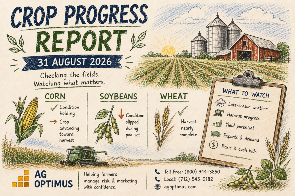 USDA crop progress audit August 31 2026 showing corn at 57 percent and soybeans at 58 percent good excellent