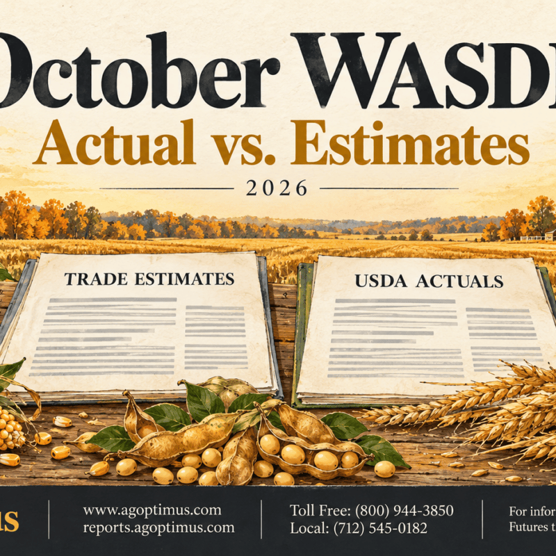 October WASDE actual vs estimates header with Trade Estimates and USDA Actuals ledgers