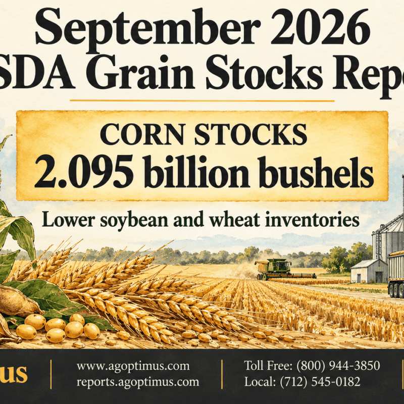 September 2026 USDA Grain Stocks report showing corn stocks at 2.095 billion bushels against lower soybean and wheat inventories